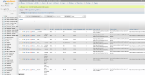 Models Custom MySQL Table